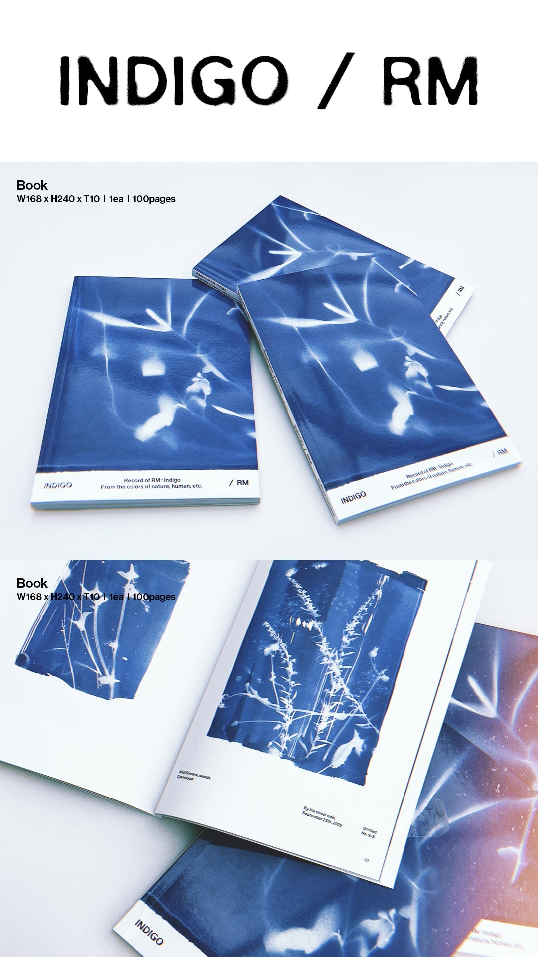 "Indigo" Book Edition